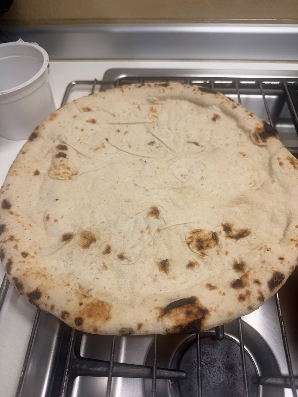 12" pizza bases ( pack of 2)